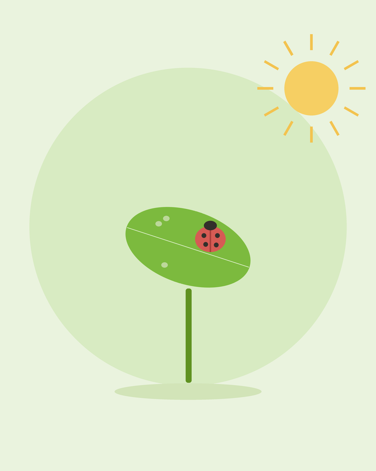 Illustrazione piatta di una coccinella su una foglia tra gli afidi — controllare i parassiti più comuni del giardino, da SeedsChoice