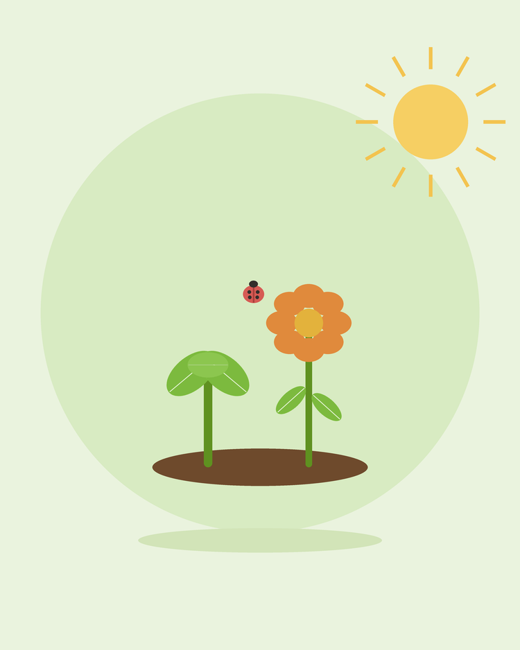Illustrazione piatta di un ortaggio e un fiore che crescono affiancati con una coccinella — la coltivazione consociata, da SeedsChoice