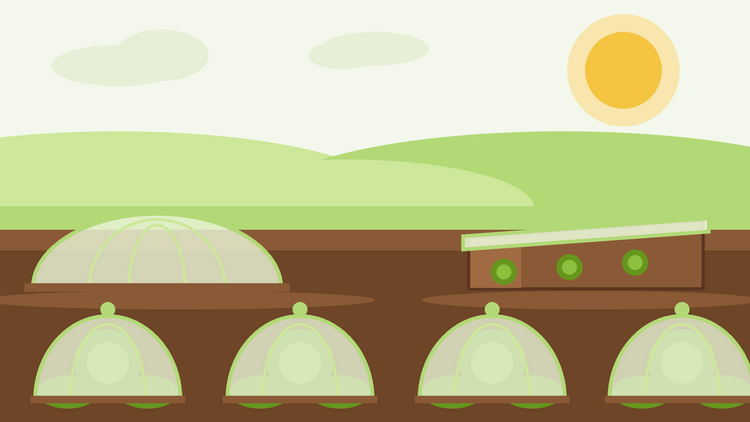 Come prolungare la stagione di coltivazione — illustrazione piatta di campane di vetro e una cold frame che proteggono le piante in un'aiuola