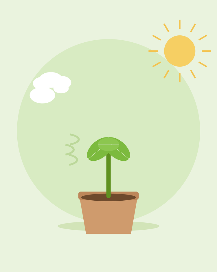 Illustrazione piatta di un semenzale in vaso all'aperto tra sole e brezza — indurire i semenzali, da SeedsChoice