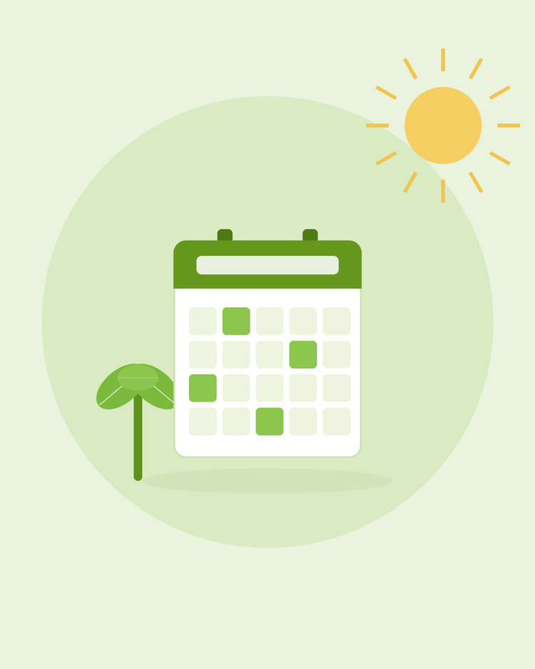 Illustrazione piatta di un calendario da parete con un germoglio — calendario di semina mese per mese, da SeedsChoice