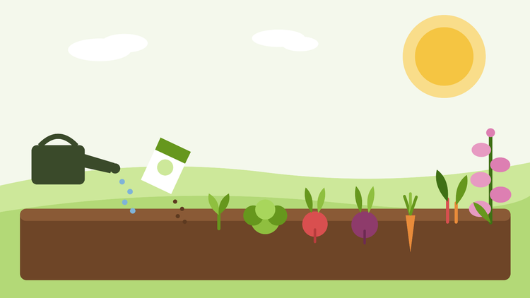 Cosa seminare a luglio — illustrazione piatta di un'aiuola estiva seminata con insalate, radici autunnali e digitali biennali, da SeedsChoice