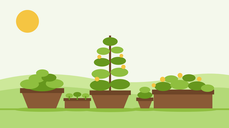 Giardinaggio in vaso da seme — illustrazione piatta di vasi in terracotta, una fioriera da finestra e un vassoio di giovani piantine su un patio soleggiato