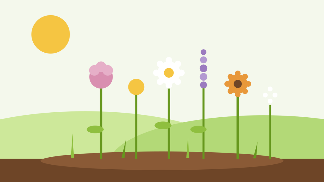Giardino di fiori recisi da seme — illustrazione piatta di una fila di fiori recisi colorati in un'aiuola