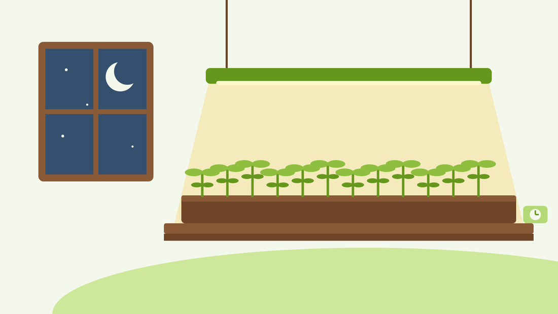 Grow lights for seedlings — flat illustration of an LED grow light hanging over a tray of young seedlings on a shelf, with a dark winter night in the window and a plug-in timer