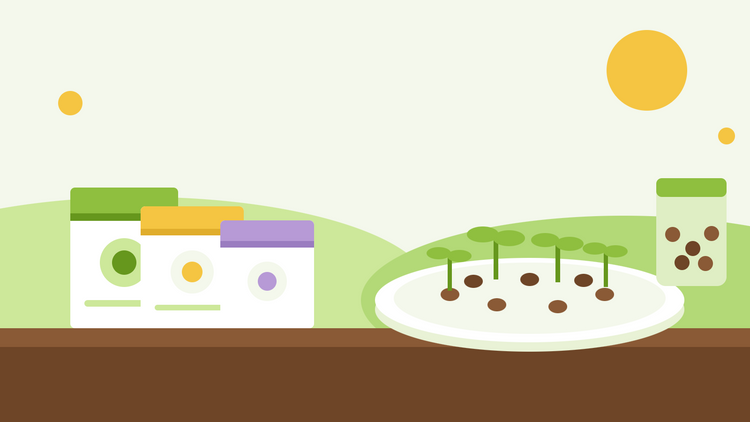 Per quanto tempo durano i semi — illustrazione piatta di buste di semi, un barattolo di semi e un piattino per il test di germinazione con semi in germinazione