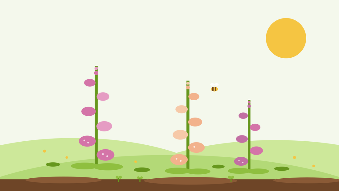 Come coltivare la digitale da seme — illustrazione piatta di spighe di digitale rosa e pesca con un bombo in un giardino verde, da SeedsChoice