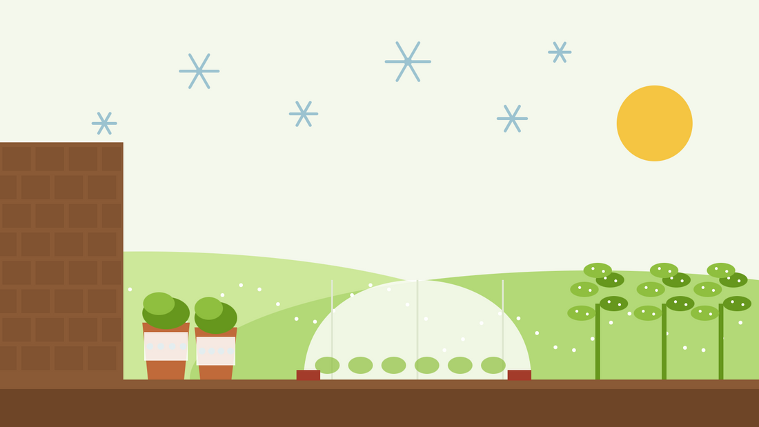 Come proteggere le piante dal gelo — illustrazione piatta di un tunnel di tessuto non tessuto su un'aiuola dell'orto, vasi avvolti contro il muro di casa e cavolo riccio brinato sotto cristalli di ghiaccio