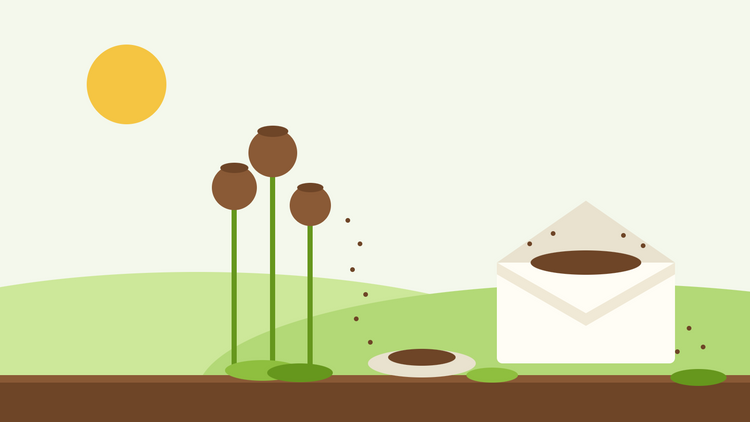 Raccolta dei semi — illustrazione piatta di teste di papavero mature che rilasciano semi accanto a un piattino e a una busta di carta aperta piena di semi