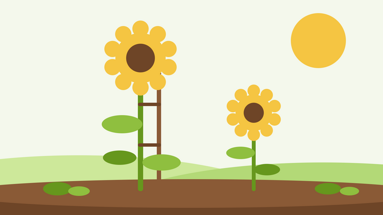 Cura del girasole — illustrazione piatta di un girasole alto legato a un tutore in legno accanto a un girasole più piccolo in un giardino soleggiato