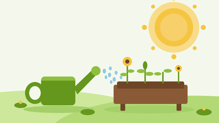 Irrigare durante un'ondata di calore — illustrazione piatta di un annaffiatoio che irrora un'aiuola rialzata sotto un sole estivo brillante, da SeedsChoice