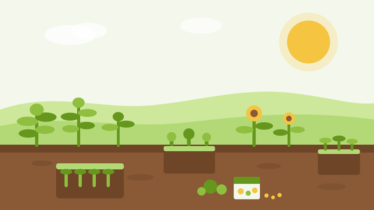 Cosa seminare ad agosto — illustrazione piatta di vassoi per semenzali con piantine da insalata, girasoli e una bustina di semi in un giardino estivo