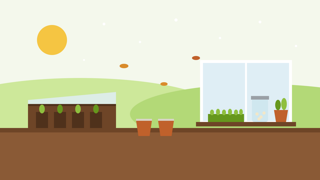 Cosa seminare a novembre — illustrazione piatta di piantine in un cassone freddo, vasi di perenni all'aperto e un davanzale con micro-ortaggi, un barattolo per germogli ed erbe aromatiche