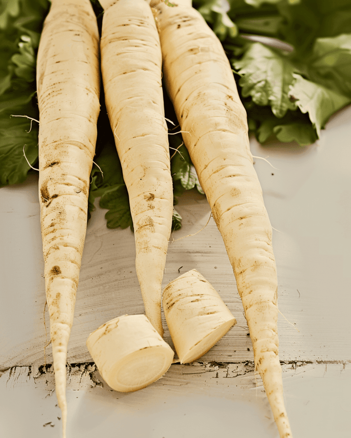 Semi di pastinaca Guernsey (Pastinaca sativa) – ortaggio annuale biologico