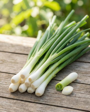 Cipollotto White Lisbon (Allium cepa) – semi di ortaggi annuali biologici da SeedsChoice