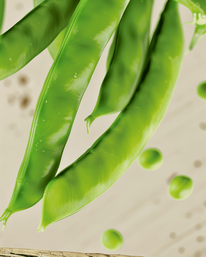 Semi di pisello mangiatutto Norli (Pisum sativum) – ortaggio annuale biologico