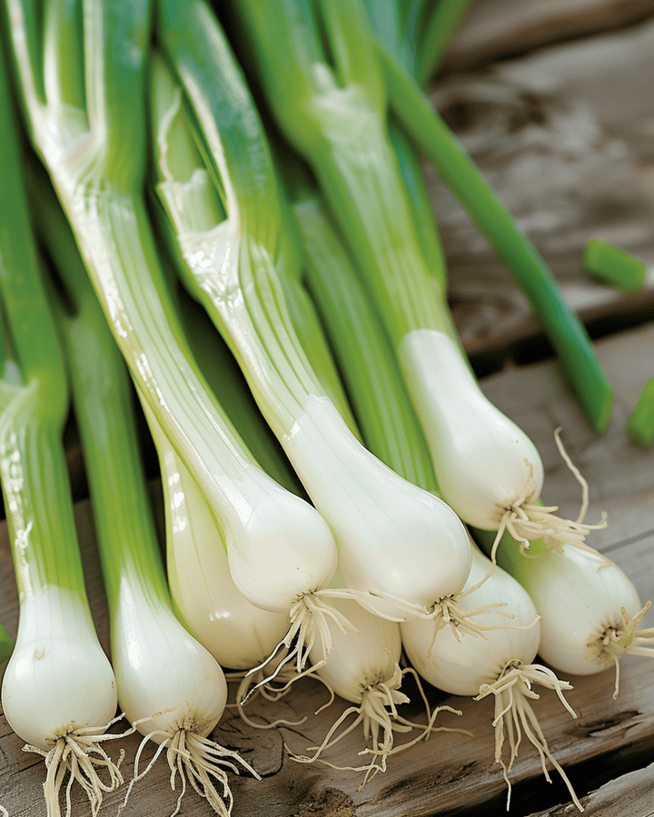 Semi di cipollotto White Lisbon (Allium cepa) – ortaggio annuale