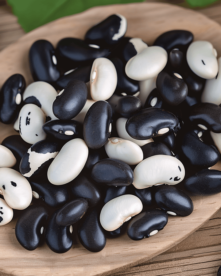 Semi di fagiolo nano Yin Yang da sgranare (Phaseolus vulgaris) – ortaggio annuale
