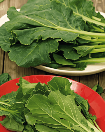 Semi di Komatsuna Mustard Spinach (Brassica rapa) – verdura