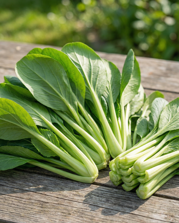 Komatsuna Mustard Spinach (Brassica rapa) – semi da orto di SeedsChoice