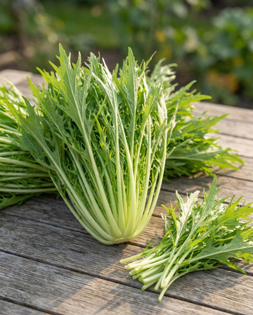 Mizuna (Brassica rapa) – semi di ortaggi da SeedsChoice