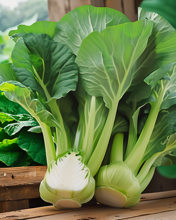 Semi di Pak Choi Green F1 (Brassica pekinensis) – ortaggio annuale