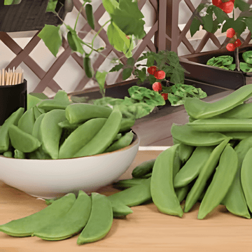 Semi di pisello mangiatutto Delikett (Pisum sativum) – ortaggio annuale