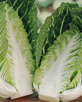Semi di cavolo cinese Brassica Rapa Pe Tsai verdura