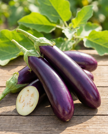 Semi di melanzana Violetta Lunga Medium Early (Solanum melongena) – ortaggio da SeedsChoice