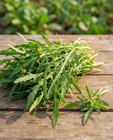 Rucola selvatica da foglia verde (Diplotaxis tenuifolia) – semi di verdura perenne da SeedsChoice
