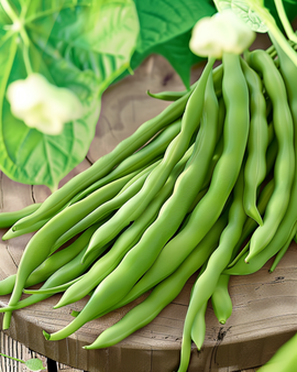 Pole Beans Seeds Overvloed Phaseolus Vulgaris Annual 25g