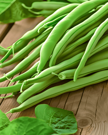 Semi di fagiolo nano Soliman (Phaseolus vulgaris) – ortaggio annuale