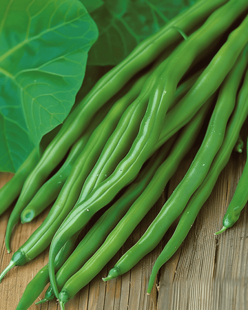 Semi di fagiolo nano Miracle (Phaseolus vulgaris) – ortaggio annuale