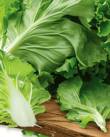 Semi di radicchio Sugarloaf (Cichorium intybus) – ortaggio annuale