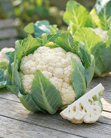 Raccolta cavolfiore Walcheren Winter 5 (Brassica oleracea) – semi da orto biennali di SeedsChoice