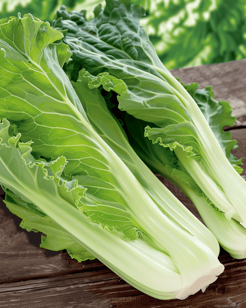 Semi di cavolo cinese Granaat Michihili (Brassica pekinensis) – verdura annuale
