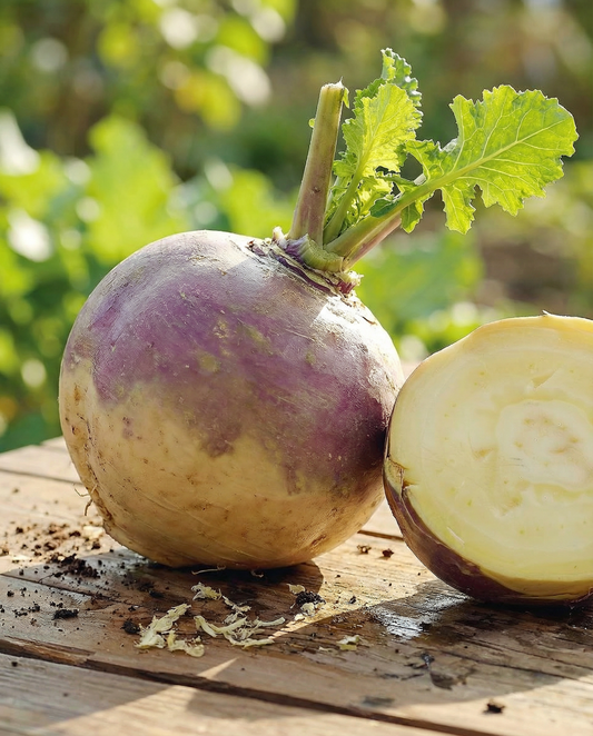 Swede Champion (Brassica napus) – semi di ortaggi annuali da SeedsChoice