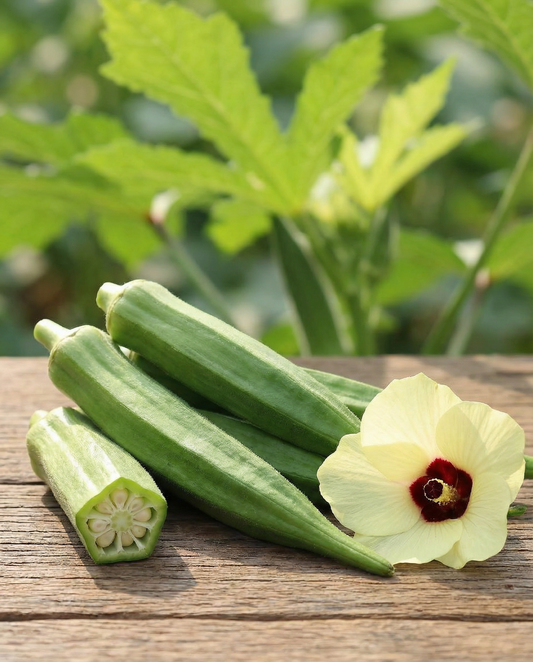 Okra Clemson Spineless (Abelmoschus esculentus) – semi di verdura annuale da SeedsChoice
