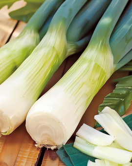 Semi di porro blu-verde invernale Allium porrum ortaggio annuale
