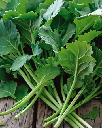Semi di Foglie di Rapa (Brassica rapa) – ortaggio annuale