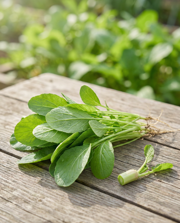 Foglie di Rapa (Brassica rapa) – semi di ortaggi annuali di SeedsChoice