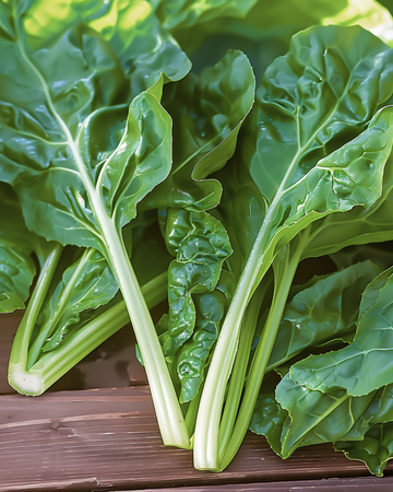 Swiss Chard Common Green seeds (Beta vulgaris) – annual vegetable