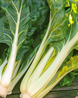 Swiss Chard Seeds Beta Vulgaris Annual Blonde A Carde Blanche