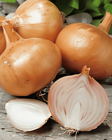 Semi di scalogno Creation F1 (Allium cepa) – annuale