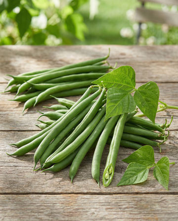 Fagiolo nano Domino 25g (Phaseolus vulgaris) – semi di ortaggio annuale da SeedsChoice