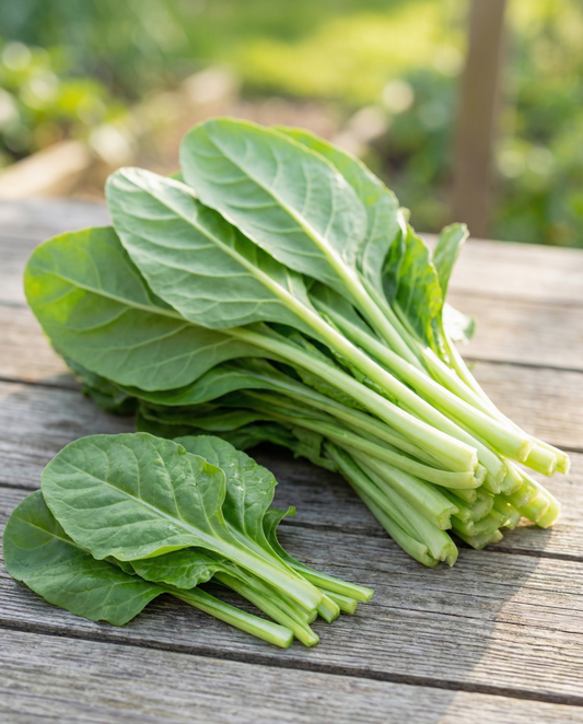 Bietola da foglia Leafy Green 50g (Beta vulgaris) – semi di verdura da SeedsChoice