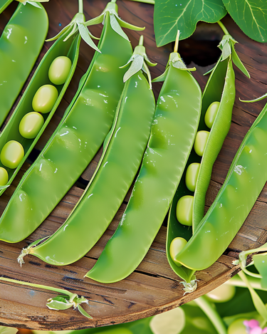 Semi di piselli mangiatutto De Grace 100g (Pisum sativum) – ortaggio annuale