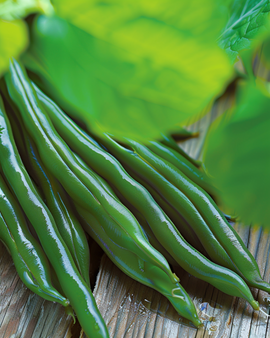 Semi di fagiolo nano Miracle Phaseolus Vulgaris annuale 250g