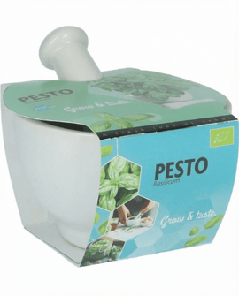 Basil Seeds Organic Ocimum Basilicum Herb Mortar Set