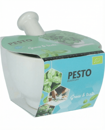 Semi di basilico Mortar Set (Ocimum basilicum) – erba biologica